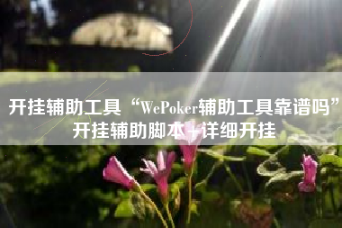 开挂辅助工具“WePoker辅助工具靠谱吗”开挂辅助脚本+详细开挂