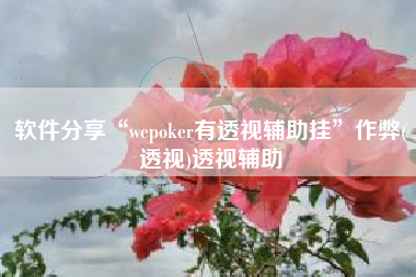 软件分享“wepoker有透视辅助挂”作弊(透视)透视辅助