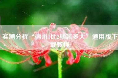 实测分析“德州1比2输赢多大”通用版下载教程