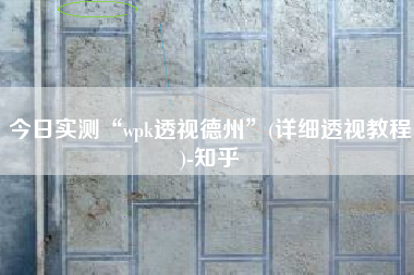 今日实测“wpk透视德州”(详细透视教程)-知乎