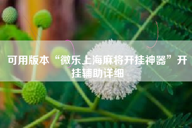 可用版本“微乐上海麻将开挂神器”开挂辅助详细