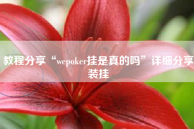 教程分享“wepoker挂是真的吗”详细分享装挂