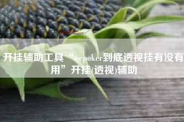 开挂辅助工具“wepoker到底透视挂有没有用	”开挂(透视)辅助