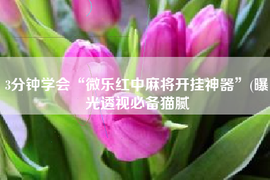 3分钟学会“微乐红中麻将开挂神器”(曝光透视必备猫腻