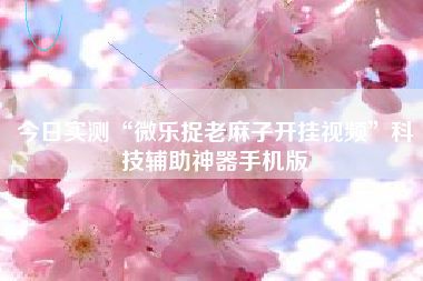 今日实测“微乐捉老麻子开挂视频	”科技辅助神器手机版