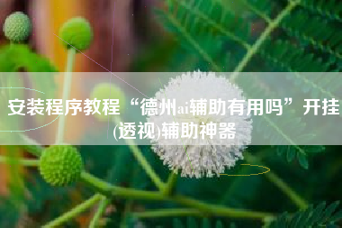 安装程序教程“德州ai辅助有用吗	”开挂(透视)辅助神器