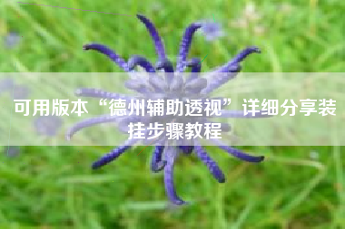 可用版本“德州辅助透视”详细分享装挂步骤教程