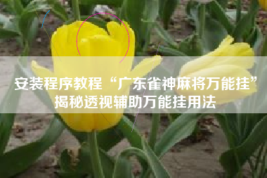 安装程序教程“广东雀神麻将万能挂”揭秘透视辅助万能挂用法