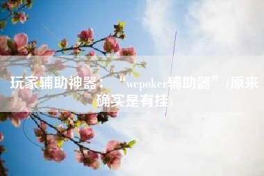 玩家辅助神器：“wepoker辅助器”(原来确实是有挂)