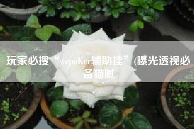 玩家必搜“wepoKer辅助挂”(曝光透视必备猫腻