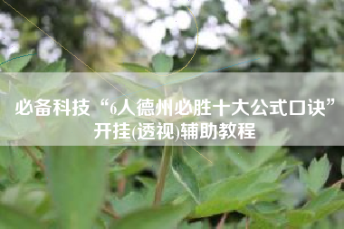 必备科技“6人德州必胜十大公式口诀”开挂(透视)辅助教程