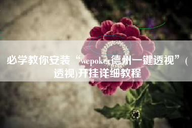 必学教你安装“wepoker德州一键透视”(透视)开挂详细教程