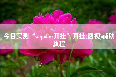 今日实测“wepoker开挂	”开挂(透视)辅助教程