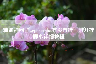 辅助神器“wepokerplus有没有挂	”附开挂脚本详细教程