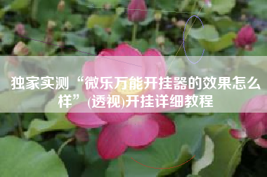 独家实测“微乐万能开挂器的效果怎么样	”(透视)开挂详细教程