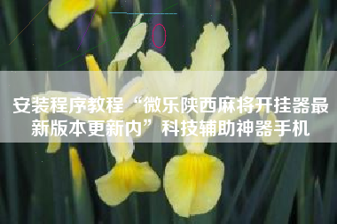 安装程序教程“微乐陕西麻将开挂器最新版本更新内”科技辅助神器手机