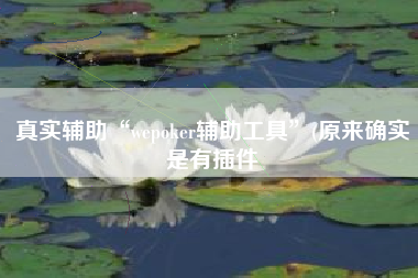 真实辅助“wepoker辅助工具”(原来确实是有插件