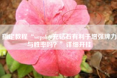 指定教程“wepoker充钻石有利于增强牌力与胜率吗？”详细开挂