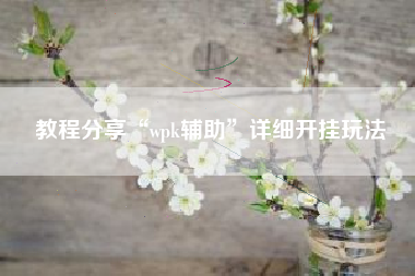 教程分享“wpk辅助”详细开挂玩法