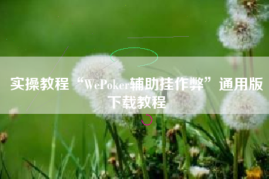 实操教程“WePoker辅助挂作弊	”通用版下载教程