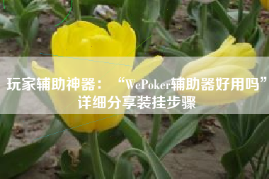 玩家辅助神器：“WePoker辅助器好用吗	”详细分享装挂步骤