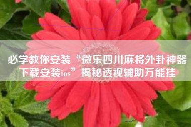 必学教你安装“微乐四川麻将外卦神器下载安装ios”揭秘透视辅助万能挂