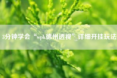 3分钟学会“wpk德州透视”详细开挂玩法