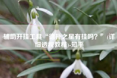 辅助开挂工具“德扑之星有挂吗？	”(详细透视教程)-知乎