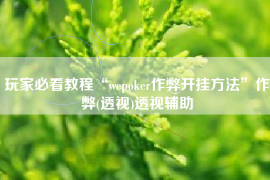 玩家必看教程“wepoker作弊开挂方法”作弊(透视)透视辅助