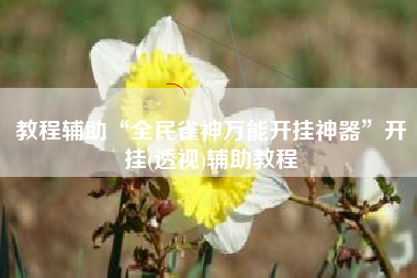 教程辅助“全民雀神万能开挂神器”开挂(透视)辅助教程