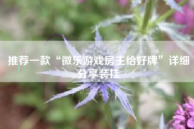 推荐一款“微乐游戏房主给好牌	”详细分享装挂