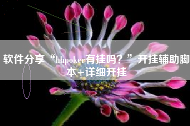 软件分享“hhpoker有挂吗？”开挂辅助脚本+详细开挂
