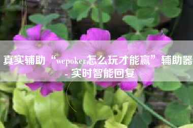 真实辅助“wepoker怎么玩才能赢”辅助器 - 实时智能回复