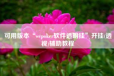 可用版本“wepoker软件透明挂	”开挂(透视)辅助教程