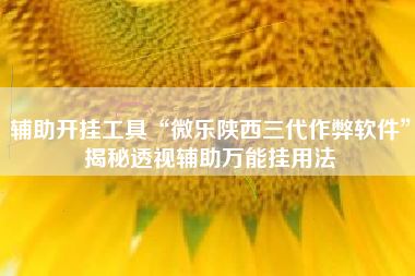 辅助开挂工具“微乐陕西三代作弊软件”揭秘透视辅助万能挂用法