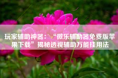 玩家辅助神器：“微乐辅助器免费版苹果下载”揭秘透视辅助万能挂用法