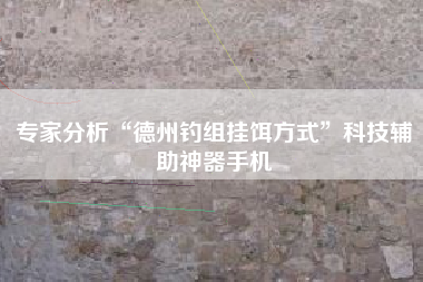 专家分析“德州钓组挂饵方式	”科技辅助神器手机