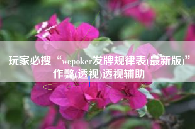 玩家必搜“wepoker发牌规律表(最新版)”作弊(透视)透视辅助