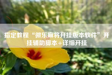 指定教程“微乐麻将开挂版本软件”开挂辅助脚本+详细开挂