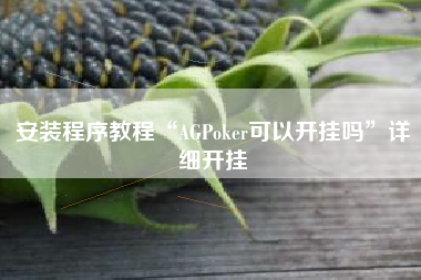 安装程序教程“AGPoker可以开挂吗”详细开挂
