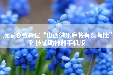 玩家必看教程“山西微乐麻将有没有挂”科技辅助神器手机版