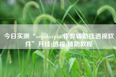 今日实测“wepokerplus作弊辅助挂透视软件	”开挂(透视)辅助教程