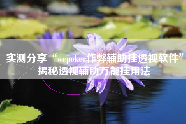 实测分享“wepoker作弊辅助挂透视软件”揭秘透视辅助万能挂用法